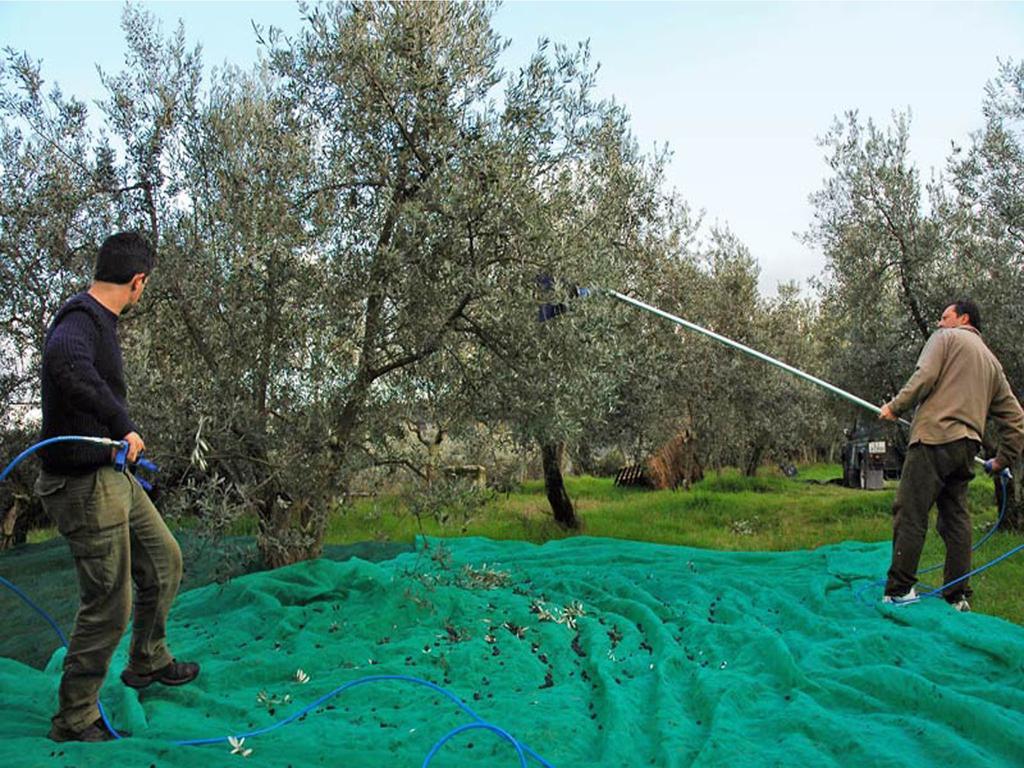 Agriturismo Borgo Dell'Aschetto Marina di Cerveteri Pokoj fotografie